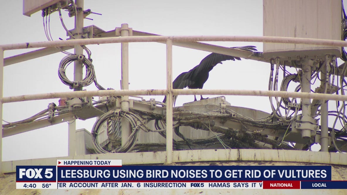 City of Leesburg using bird noises to get rid of turkey vultures